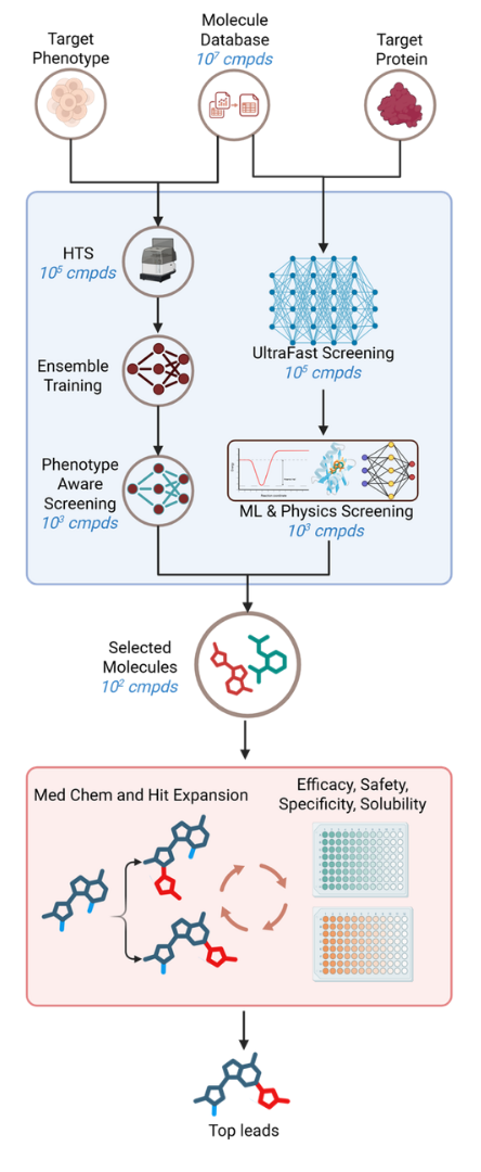 NOVOGRO discovery pathway