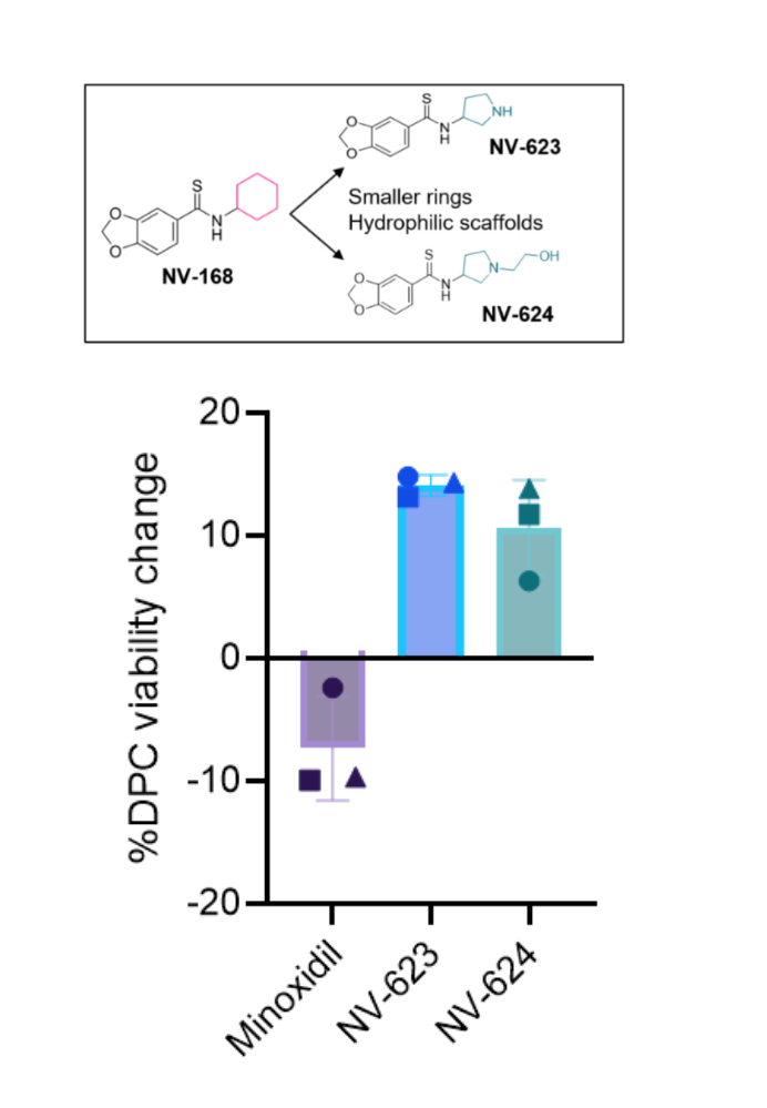 Two-panel figure: top, medicinal-chemistry strategy from NV-168 to NV-623 and NV-624; bottom, dot plot of NV-623 and NV-624 promoting dermal papilla cell proliferation across human donors