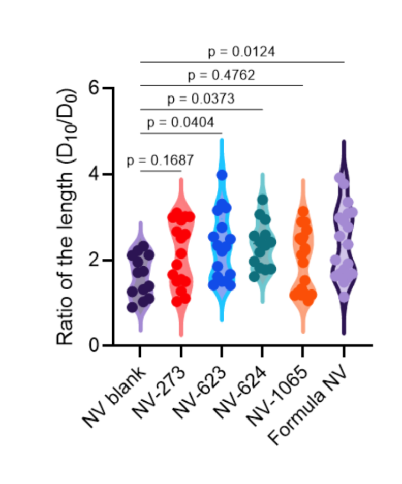 Bar chart showing combinatorial elongation of hair follicle organoids when formulated with NV-273, NV-623, NV-624, and NV-1065 together