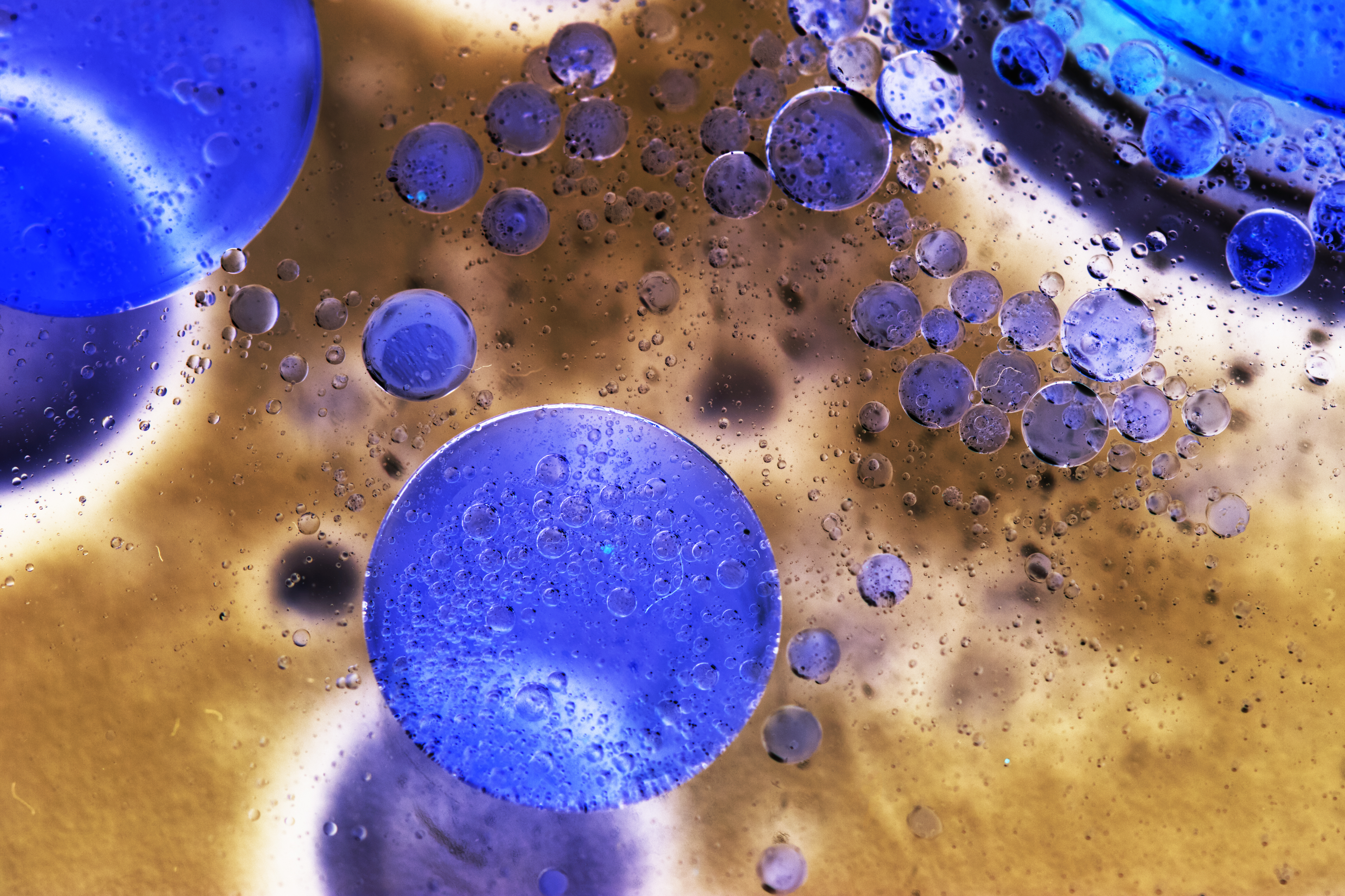 Copper peptides in a serum