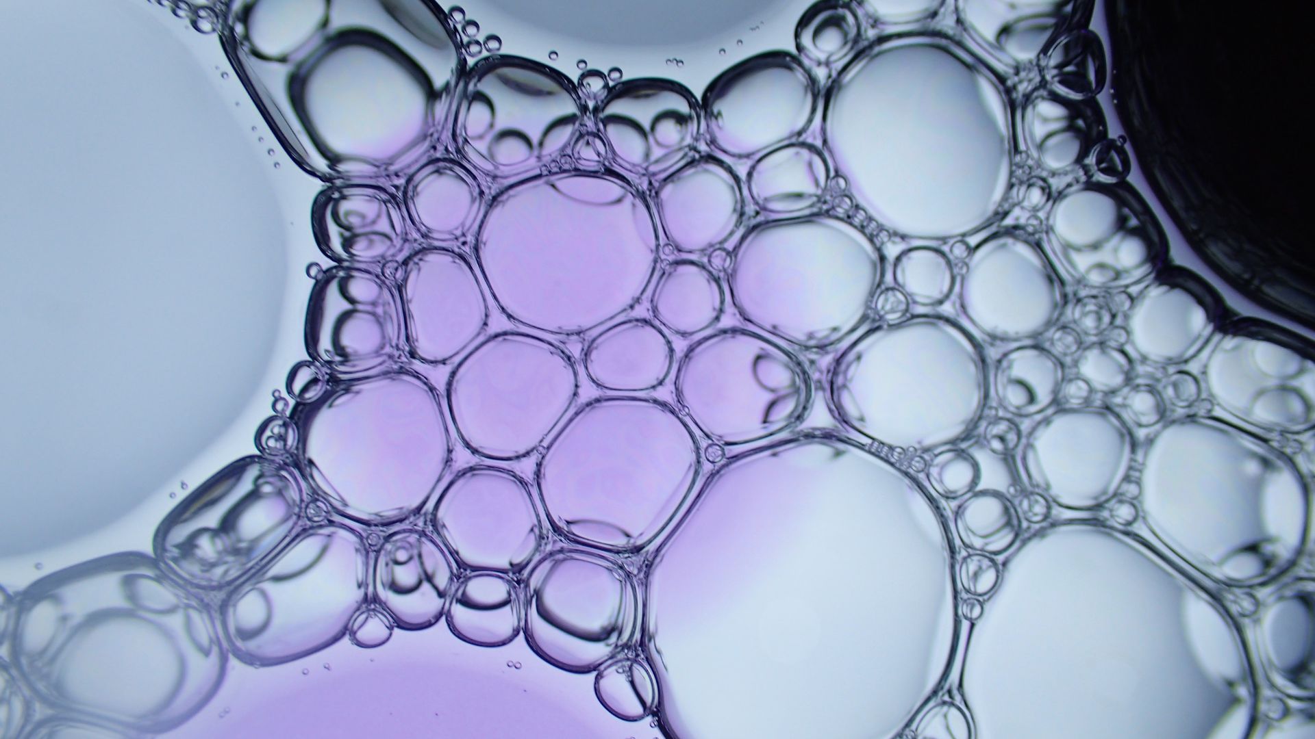 Microscopy image of exosomes