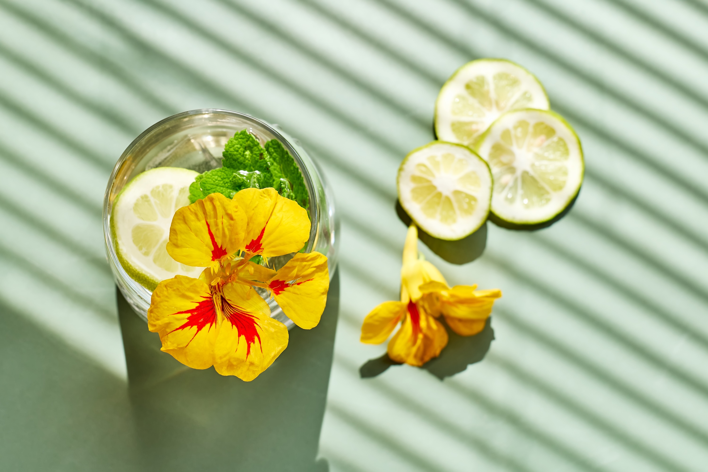 Herbal botanicals including hibiscus flowers and lemon verbena leaves, representing botanical joint health supplement ingredients