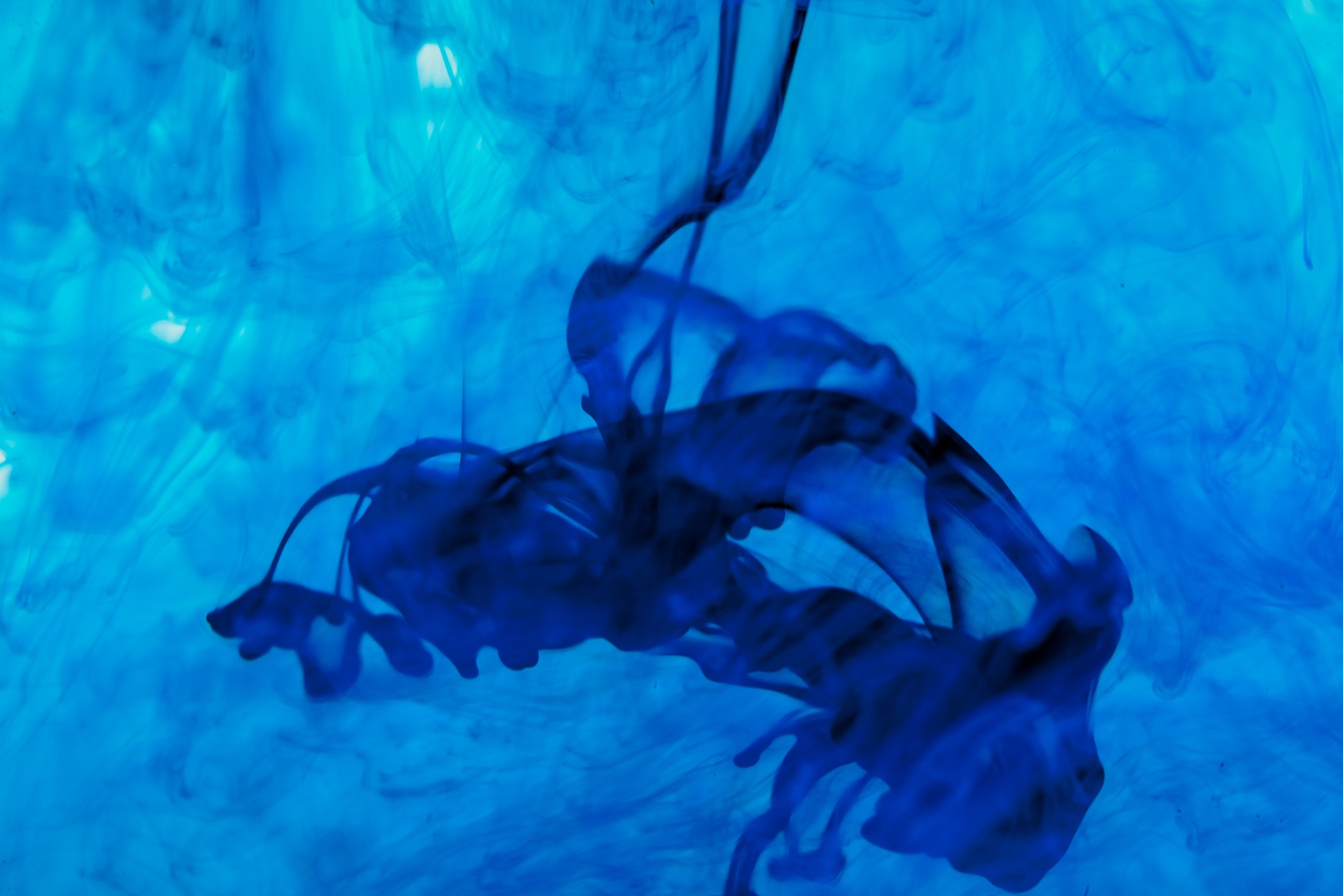 A dropper bottle of deep blue liquid against a white background