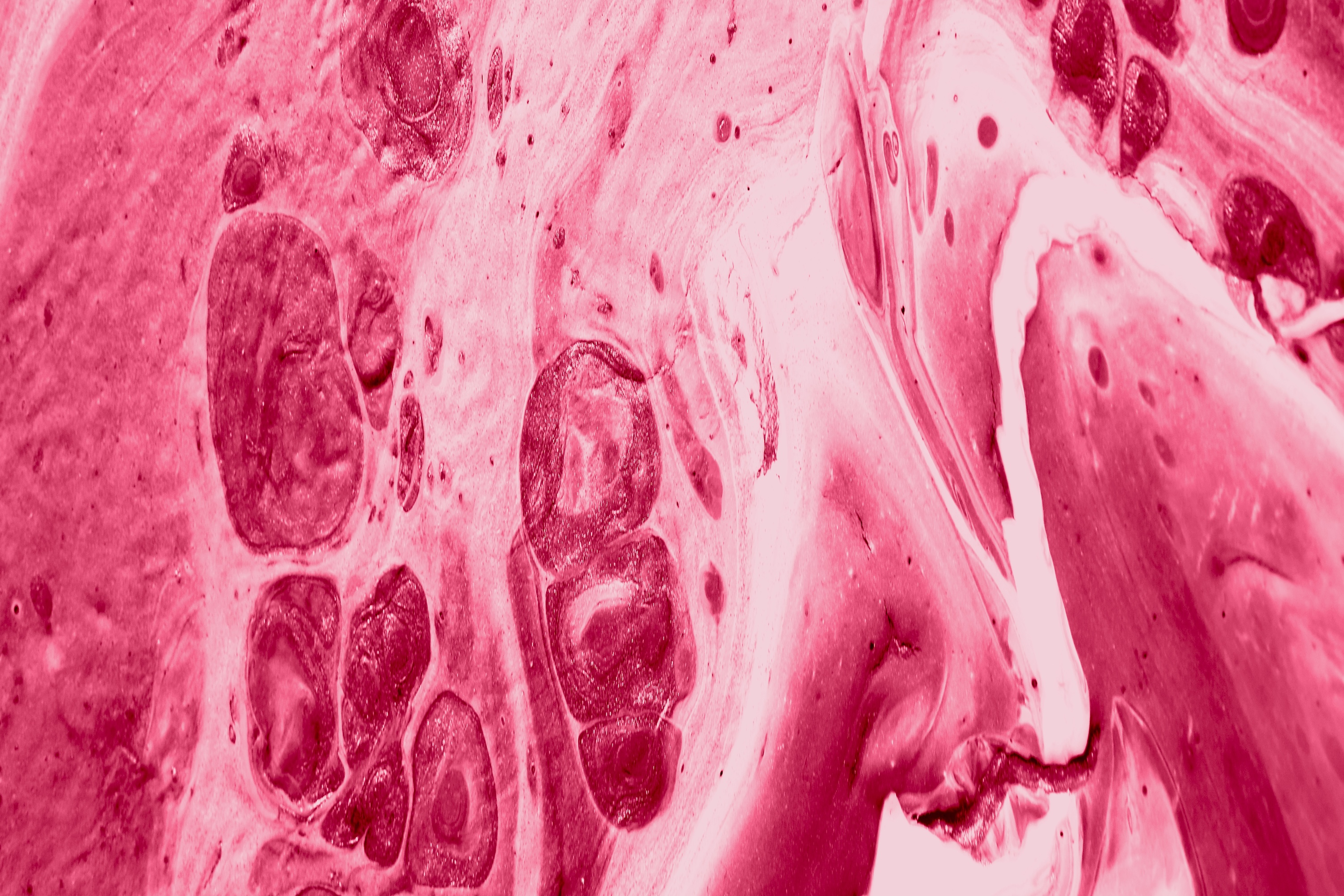 collagen powder abstract