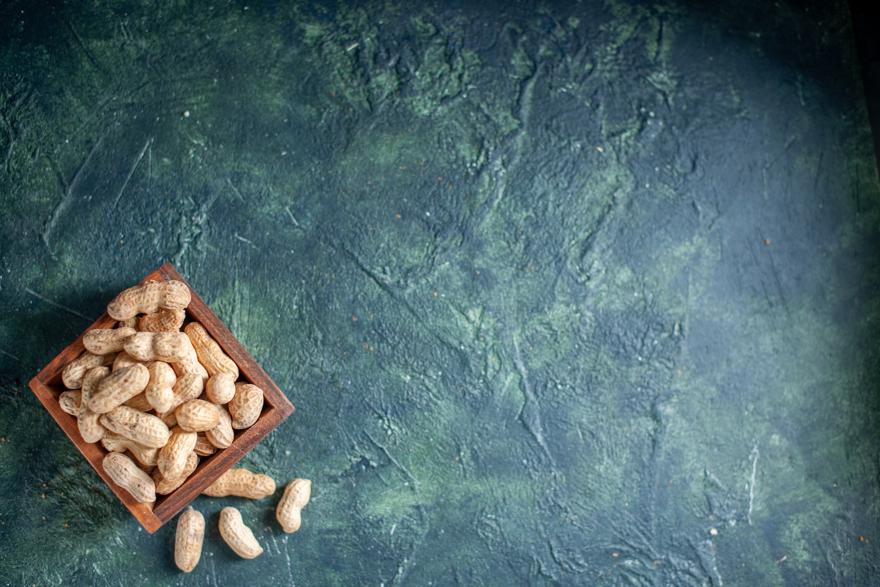 A small dish of peanuts on a kitchen surface